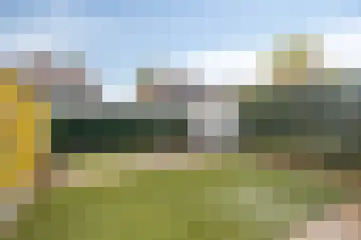 Peseta 14 Dronten thumbnail 41