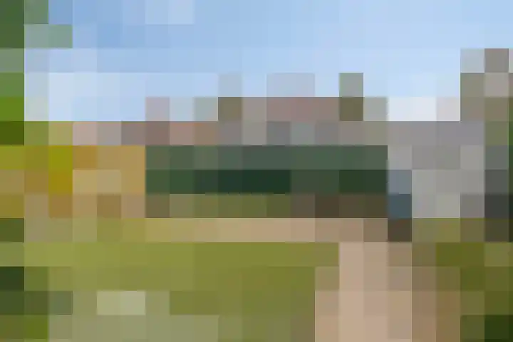 Peseta 14 Dronten thumbnail 42