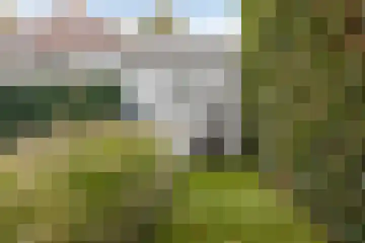 Peseta 14 Dronten thumbnail 43