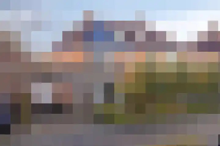 Peseta 14 Dronten thumbnail 44