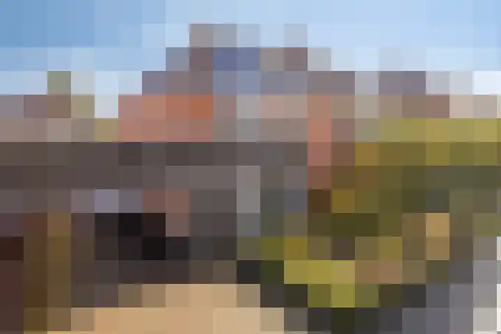 Peseta 14 Dronten thumbnail 45