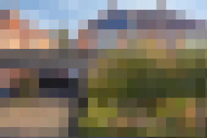 Peseta 14 Dronten thumbnail 46