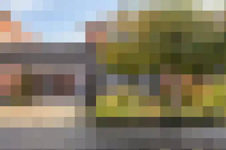 Peseta 14 Dronten thumbnail 47