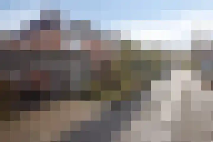 Peseta 14 Dronten thumbnail 48