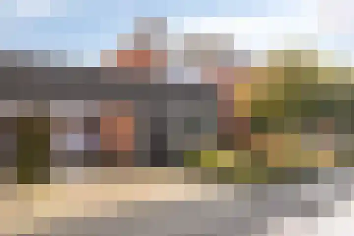 Peseta 14 Dronten thumbnail 5