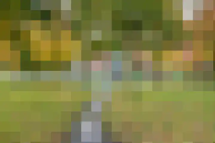 Peseta 14 Dronten thumbnail 50