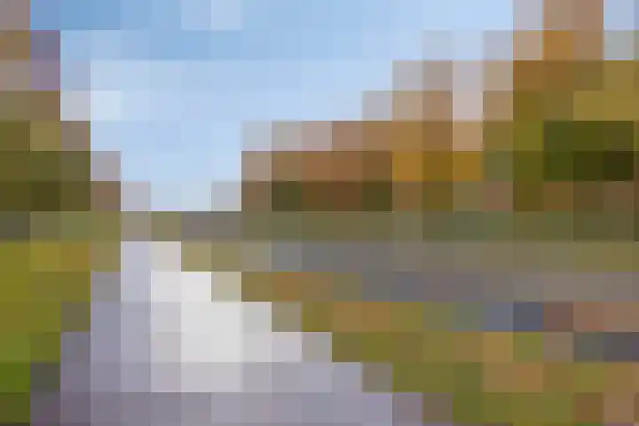 Peseta 14 Dronten thumbnail 51