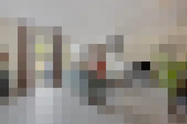Peseta 14 Dronten thumbnail 8