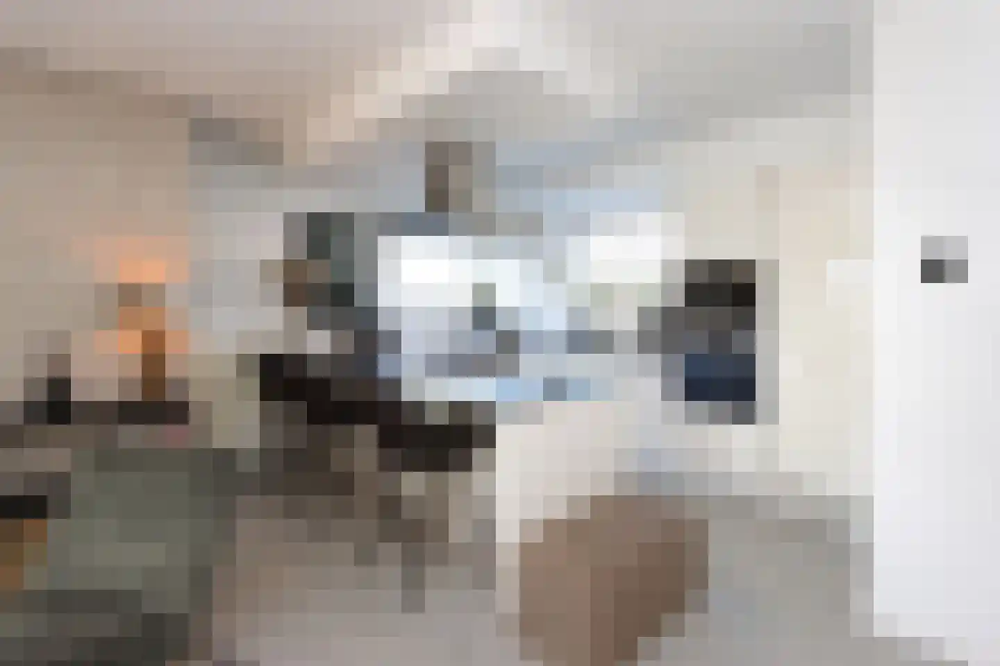 Peseta 32 Dronten thumbnail 11