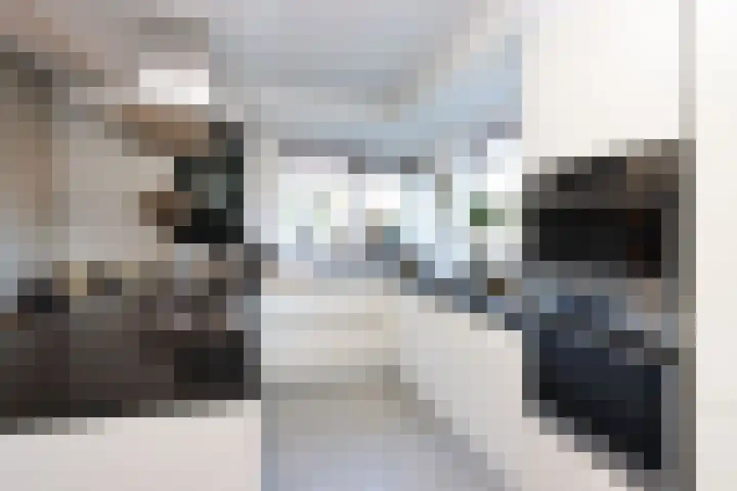 Peseta 32 Dronten thumbnail 12