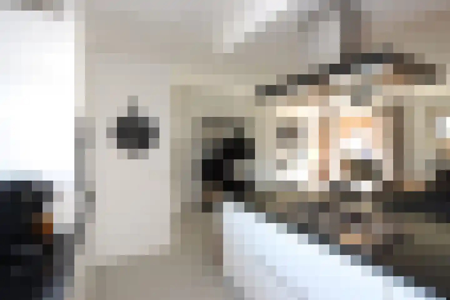 Peseta 32 Dronten thumbnail 13