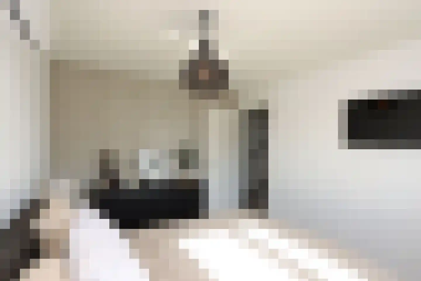 Peseta 32 Dronten thumbnail 23