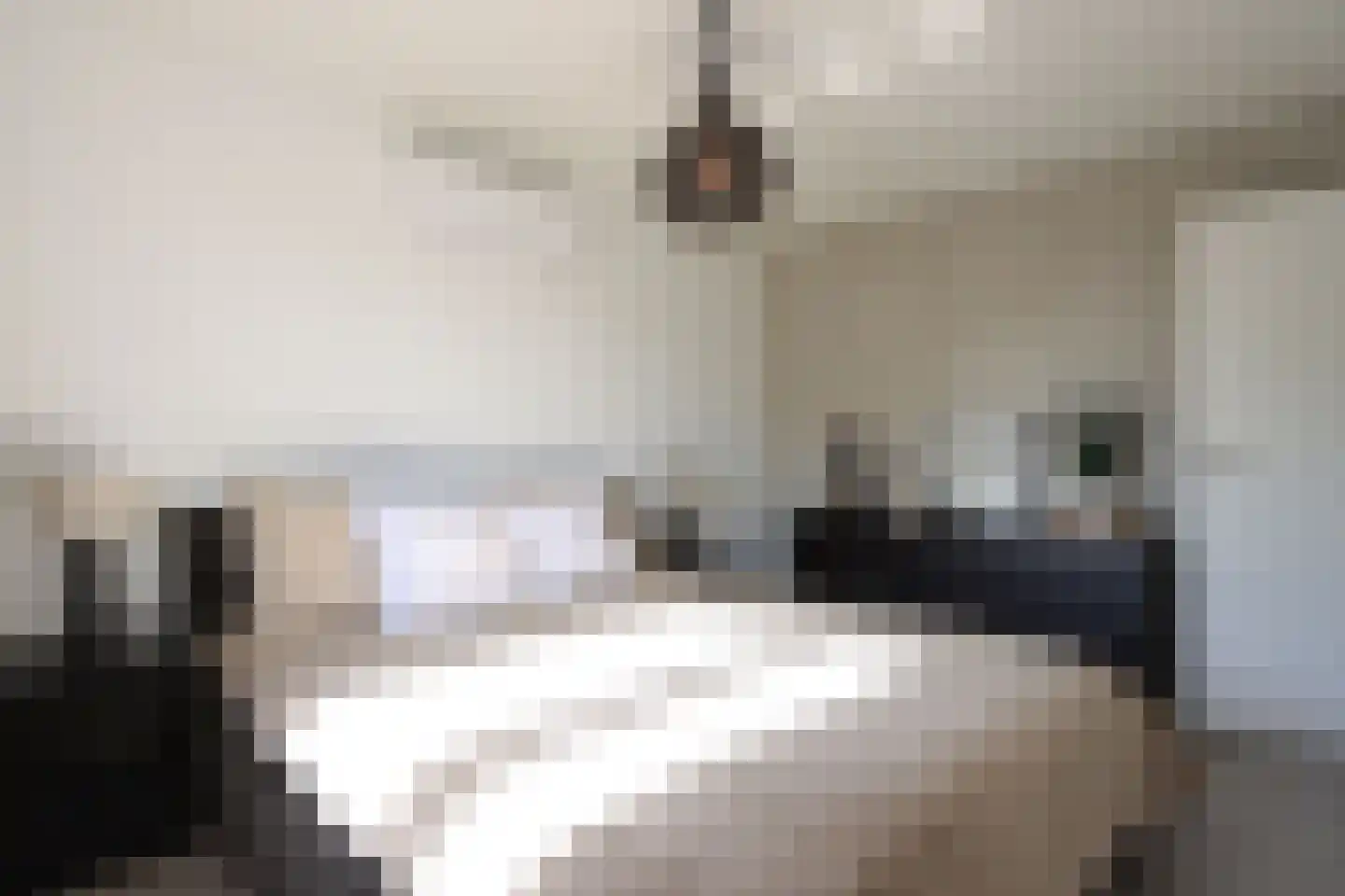 Peseta 32 Dronten thumbnail 24