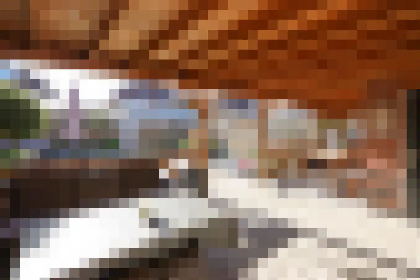 Peseta 32 Dronten thumbnail 36