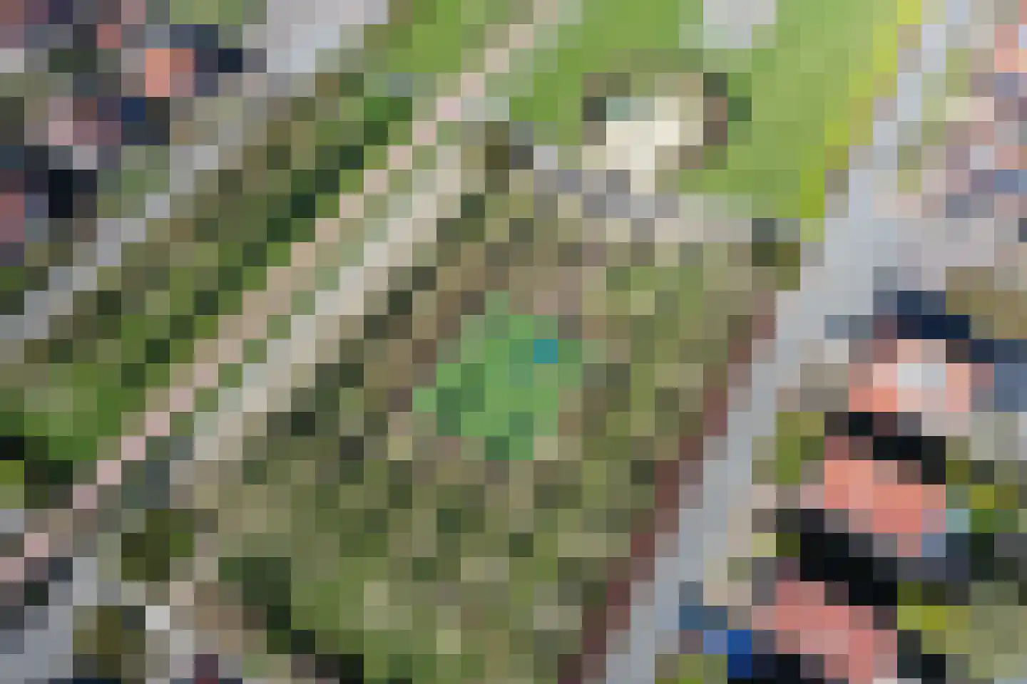 Peseta 32 Dronten thumbnail 45
