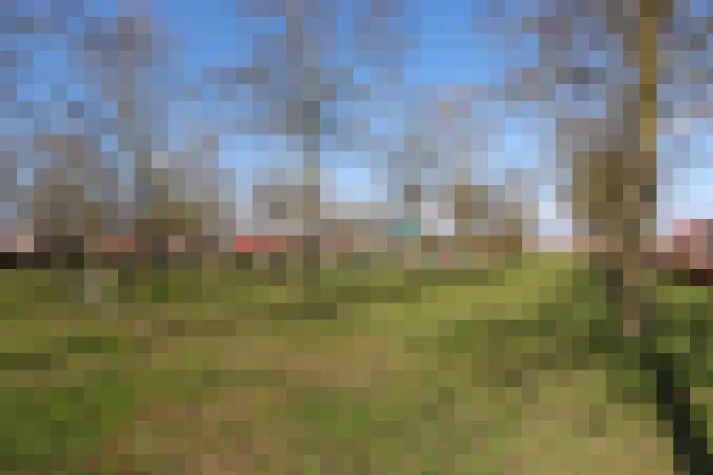 Peseta 32 Dronten thumbnail 47