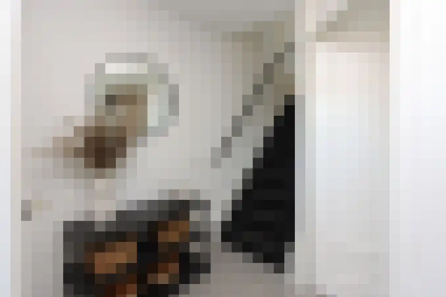 Peseta 32 Dronten thumbnail 8