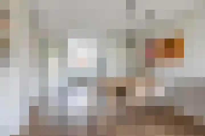 Pesetalaan 4 Amsterdam thumbnail 10
