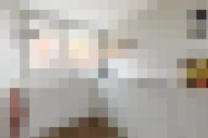 Pesetalaan 4 Amsterdam thumbnail 12
