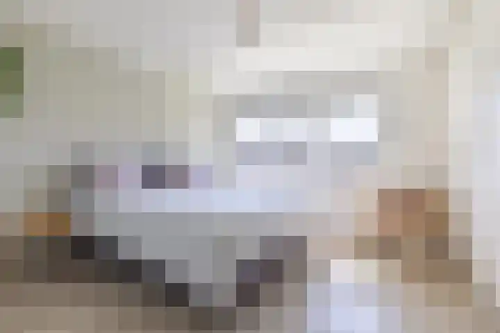Pesetalaan 4 Amsterdam thumbnail 14