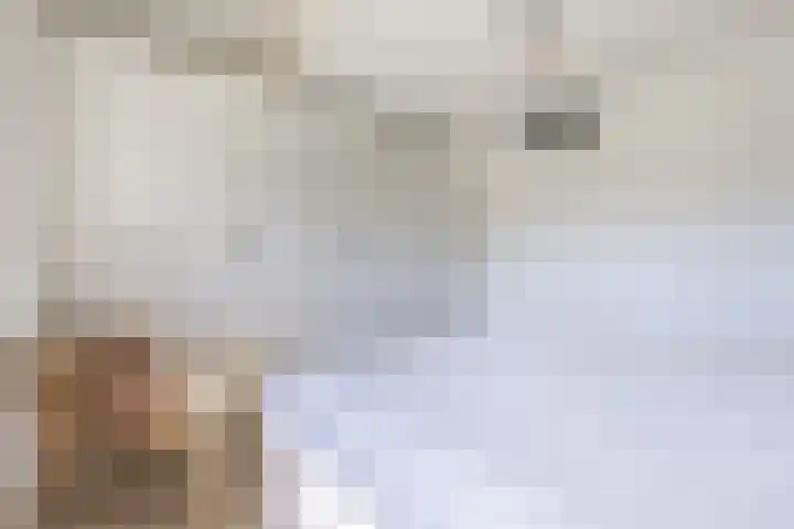 Pesetalaan 4 Amsterdam thumbnail 15