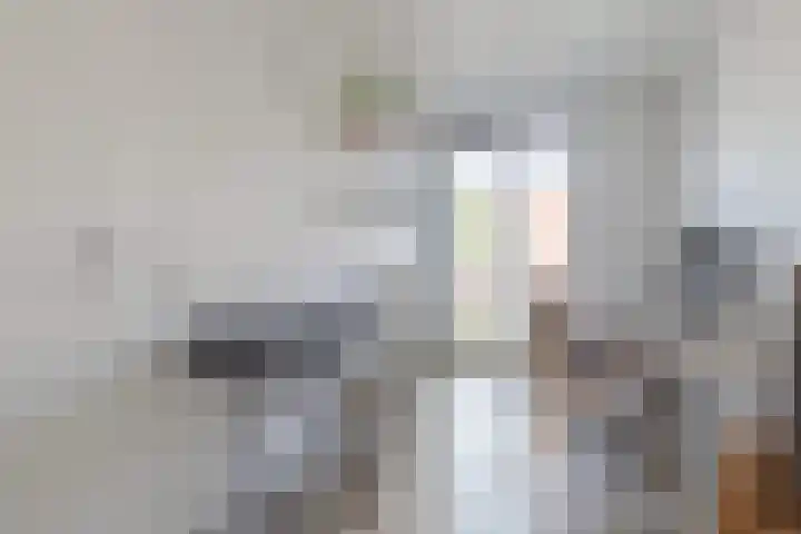 Pesetalaan 4 Amsterdam thumbnail 17