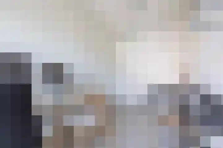 Pesetalaan 4 Amsterdam thumbnail 18