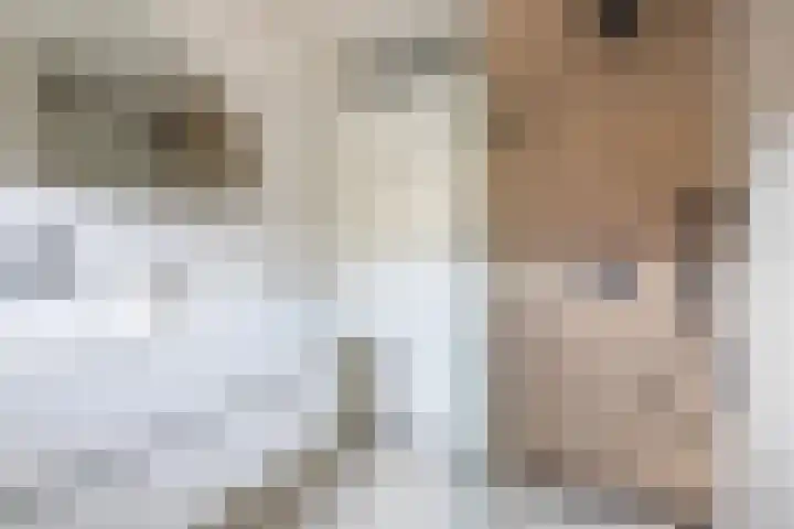 Pesetalaan 4 Amsterdam thumbnail 22