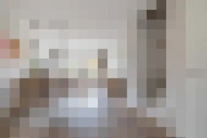 Pesetalaan 4 Amsterdam foto 3