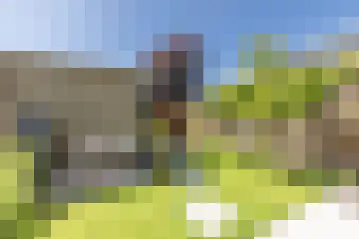 Pesetalaan 4 Amsterdam thumbnail 33