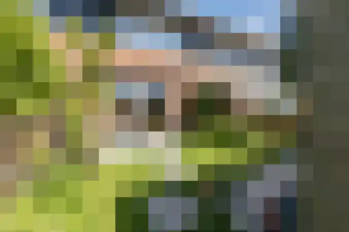 Pesetalaan 4 Amsterdam thumbnail 35