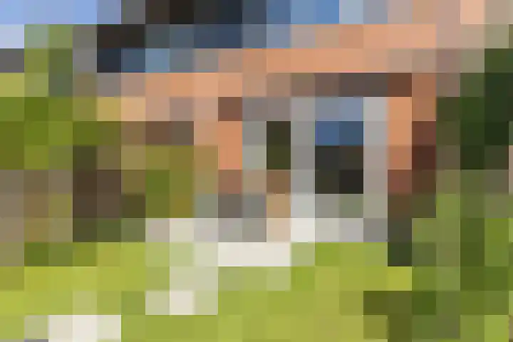 Pesetalaan 4 Amsterdam thumbnail 37