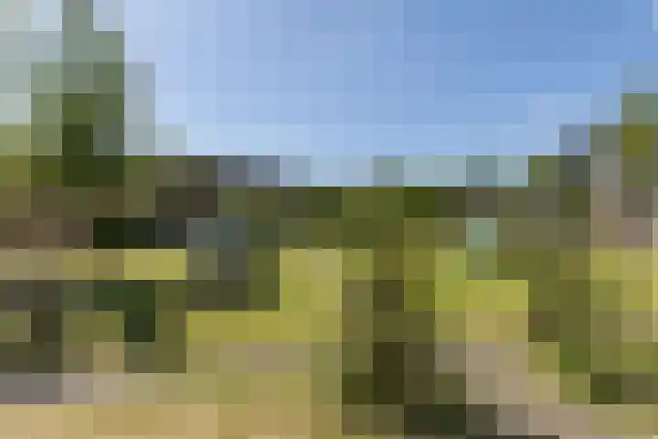 Pesetalaan 4 Amsterdam thumbnail 38