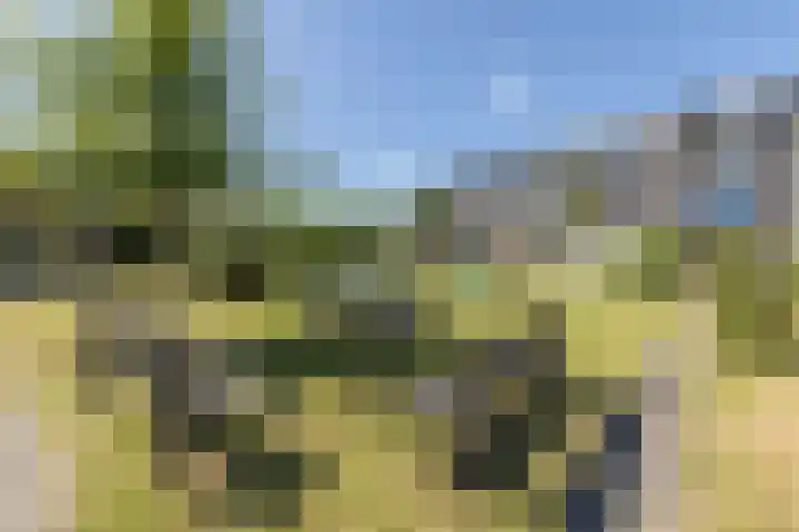 Pesetalaan 4 Amsterdam thumbnail 39