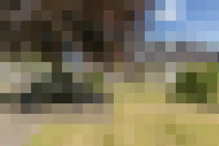 Pesetalaan 4 Amsterdam thumbnail 42