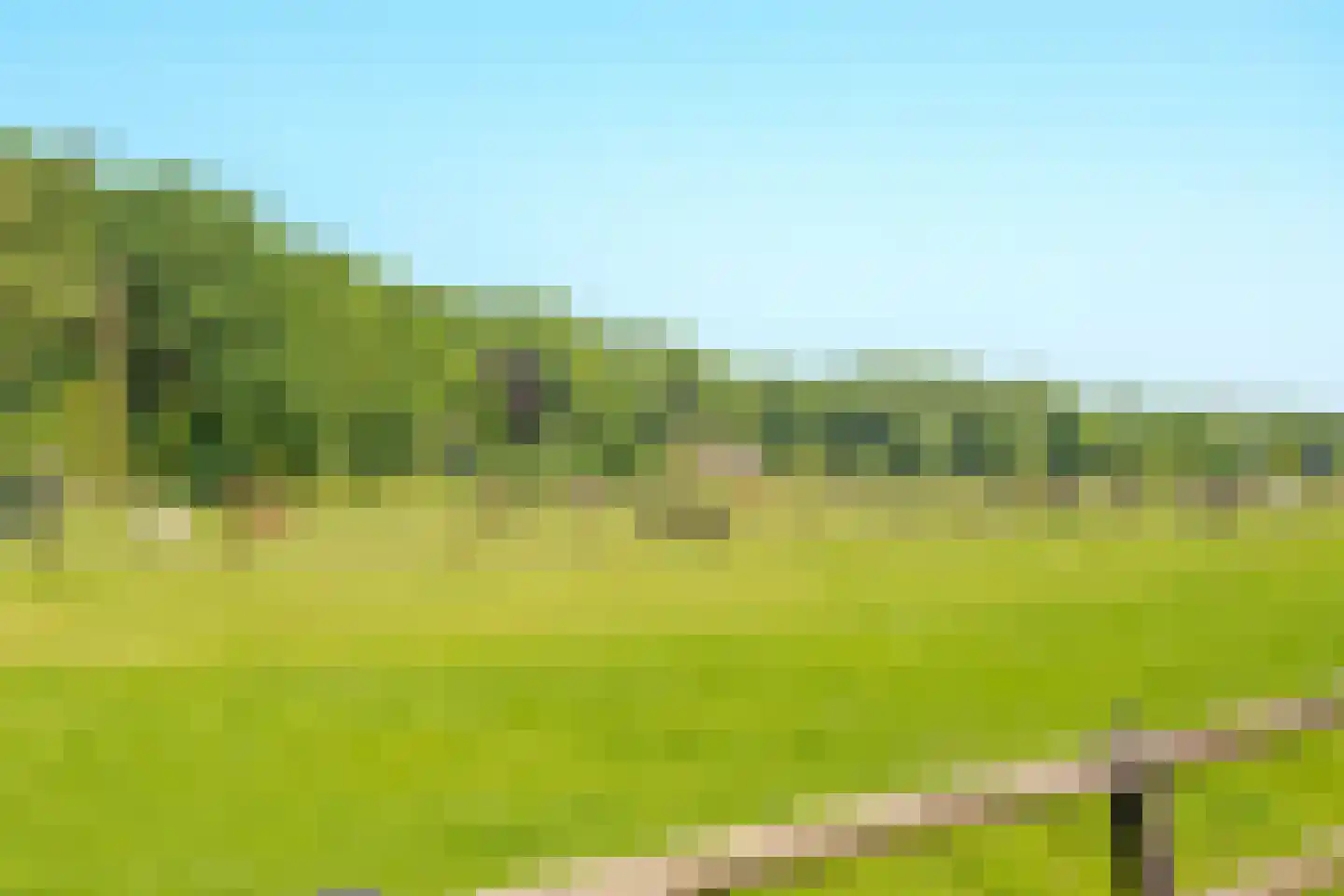 Foto von Peter Brandsma