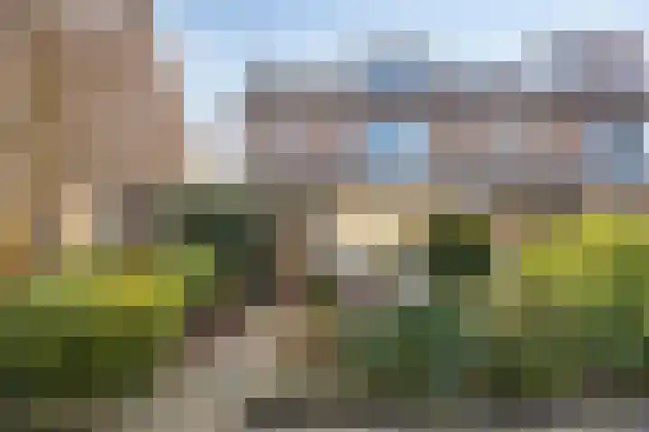 Peter Duymstraat 12 Castricum thumbnail 29