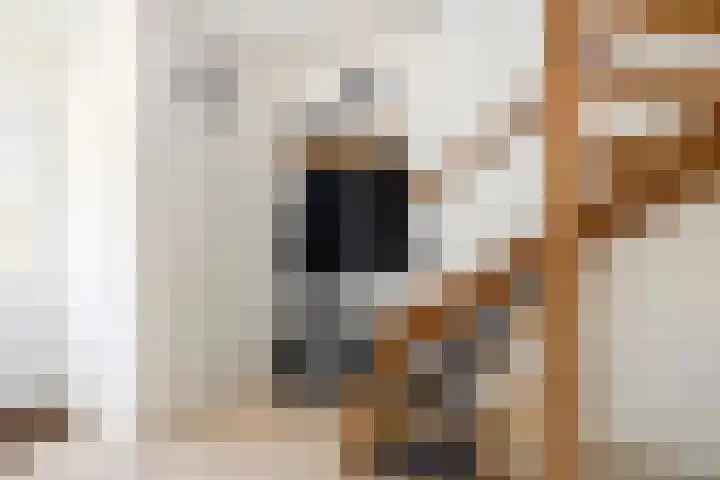 Peter Mulderstraat 15 Bathmen thumbnail 11
