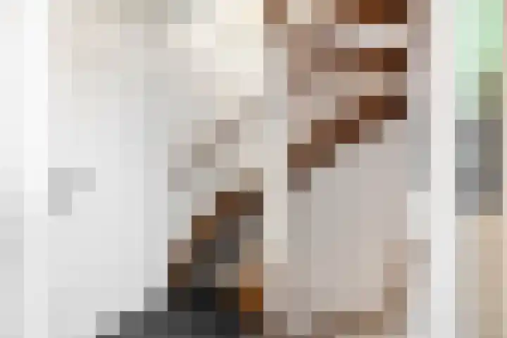 Peter Mulderstraat 15 Bathmen thumbnail 20