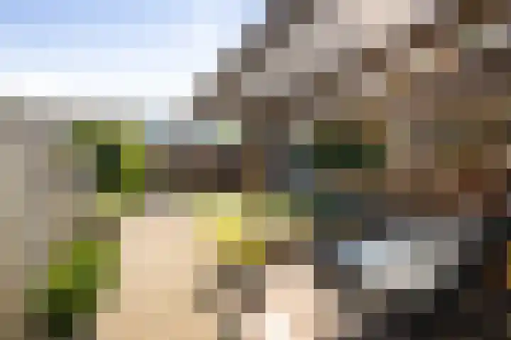 Peter Mulderstraat 15 Bathmen thumbnail 26
