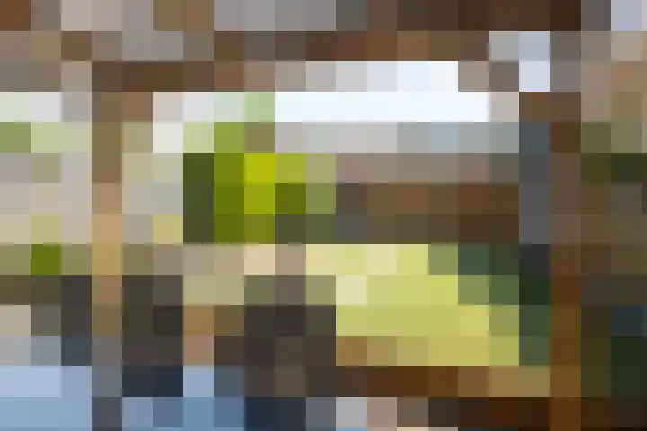 Peter Mulderstraat 15 Bathmen thumbnail 30
