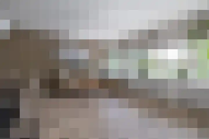 Peter Sellershof 22 Almere thumbnail 6