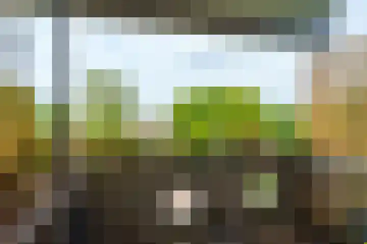 Peter Sellershof 64 Almere thumbnail 18