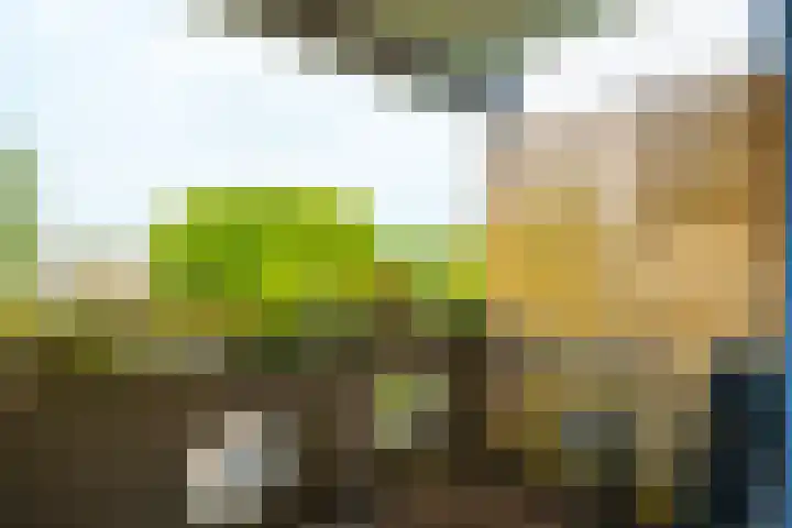 Peter Sellershof 64 Almere thumbnail 19