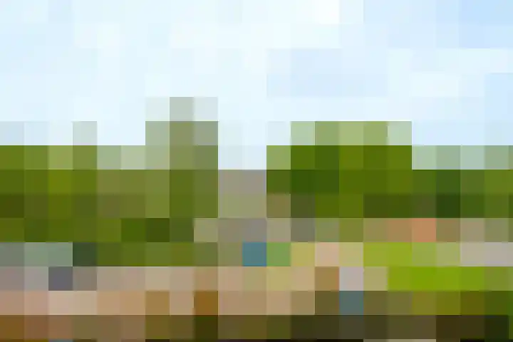 Peter Sellershof 64 Almere thumbnail 21