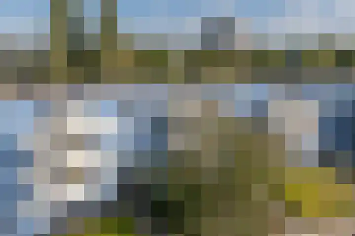 Peter Sellershof 96 Almere thumbnail 29