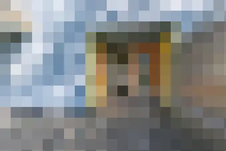 Peter Sellershof 96 Almere thumbnail 5