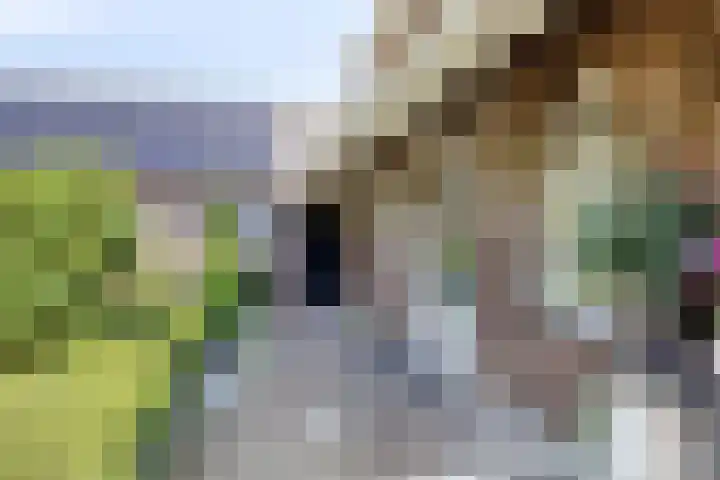Peter Zuidstraat 19 Sint Anthonis thumbnail 47