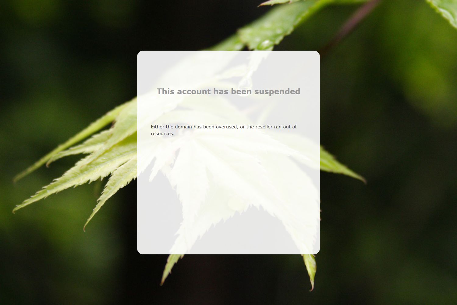 Kantoorfoto Peters Wiertz & Wijnands makelaardij o.z.