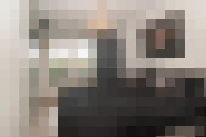 Petuniatuin 15 Zoetermeer thumbnail 10
